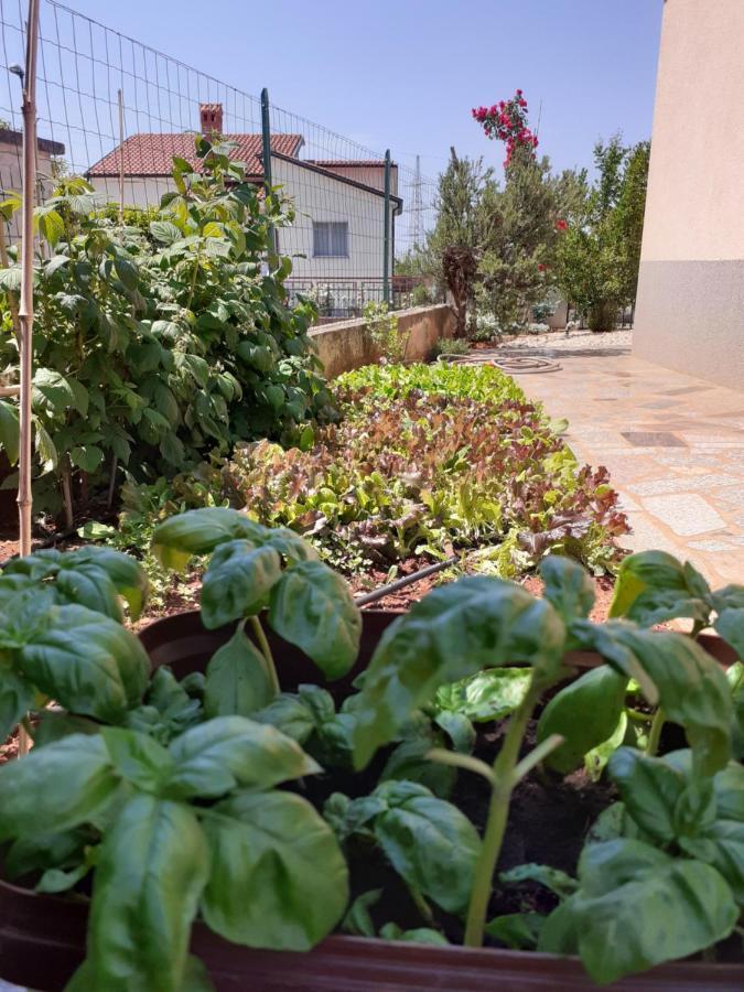 Apartament Morje